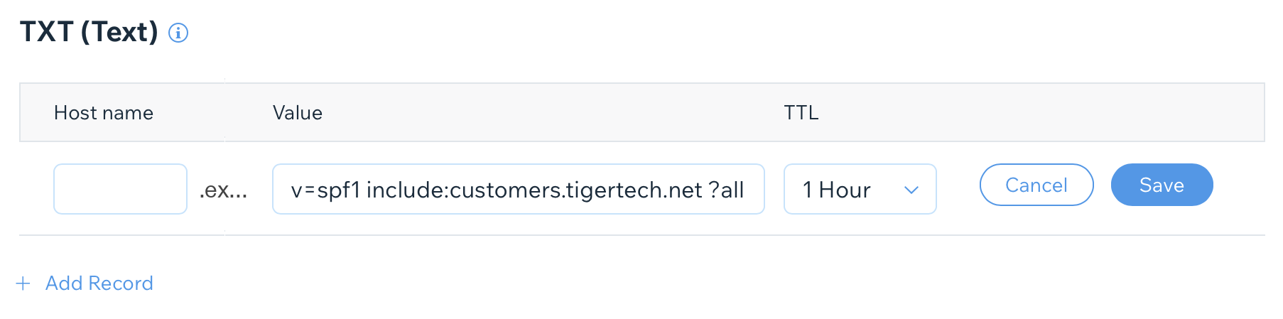 Adding TXT record at Wix