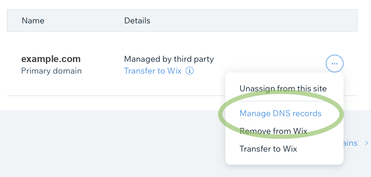 Manage DNS Records