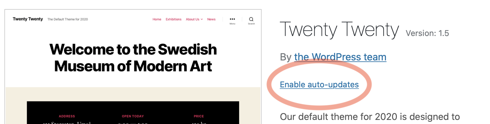WordPress theme automatic updates